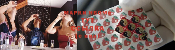 индика Богданович