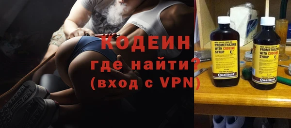 индика Богданович