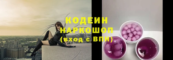 индика Богданович