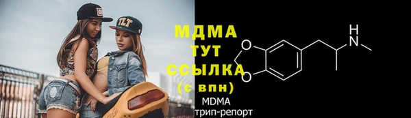 индика Богданович