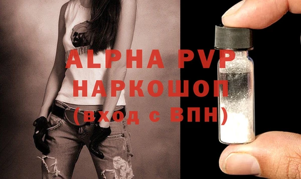 индика Богданович